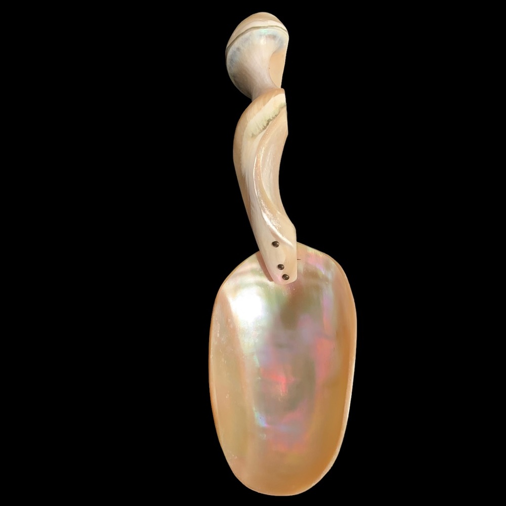 LARGE 9" VINTAGE MOTHER OF PEARL CAVIAR SERVING SPOON W/ SHELL HANDLE ABALONE